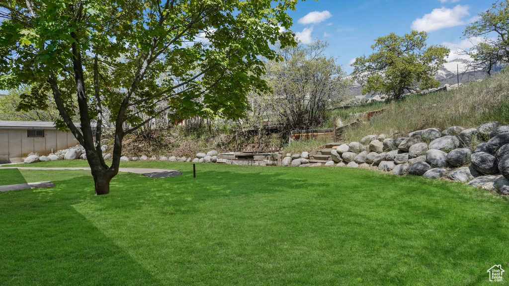 View of green lawn