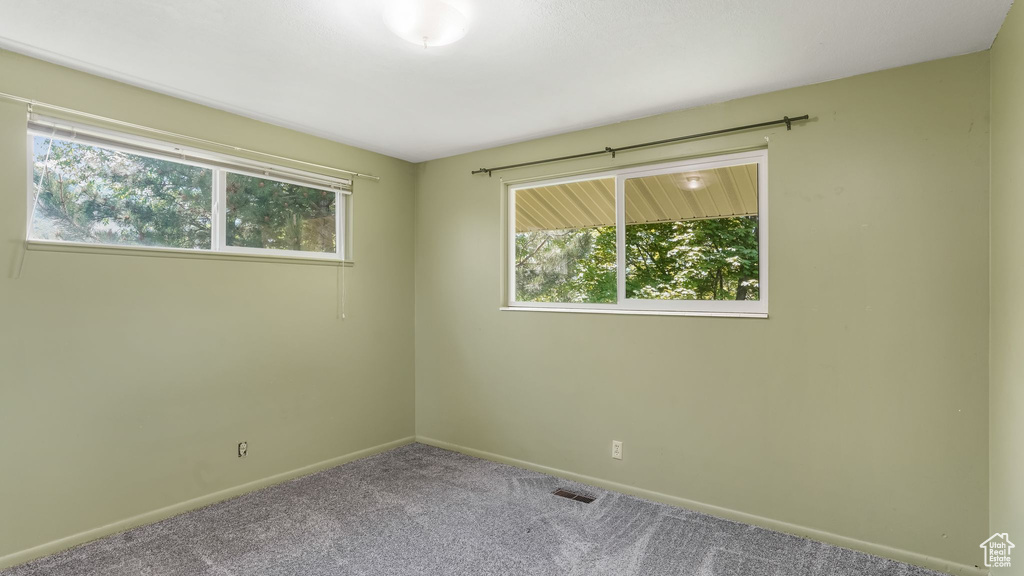 Spare room featuring plenty of natural light, carpet floors, and baseboards