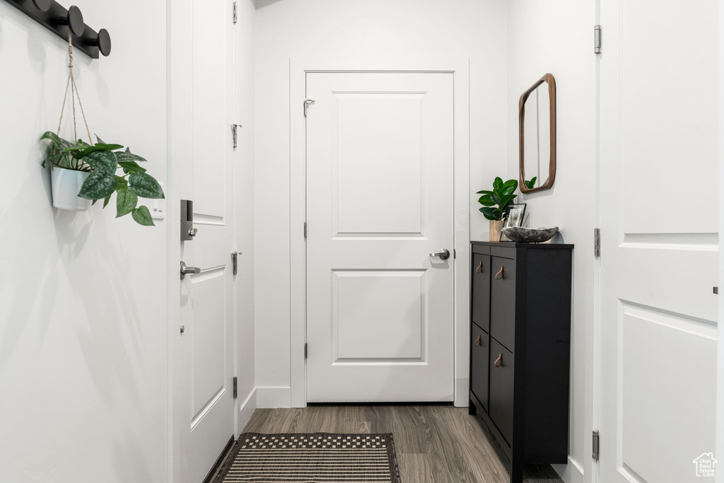 Doorway with dark wood finished floors