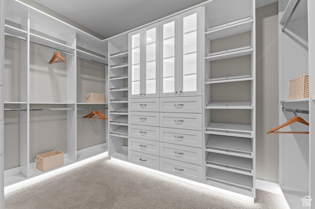 Spacious closet featuring carpet floors