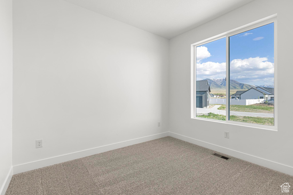 Spare room with baseboards, carpet, and plenty of natural light