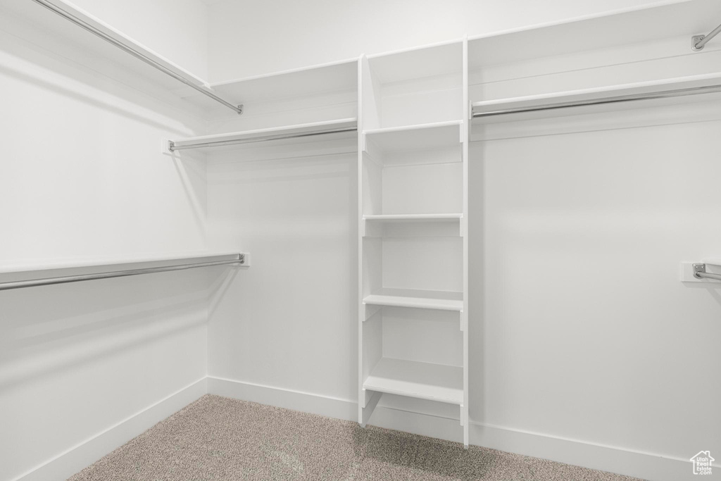 Walk in closet with carpet floors