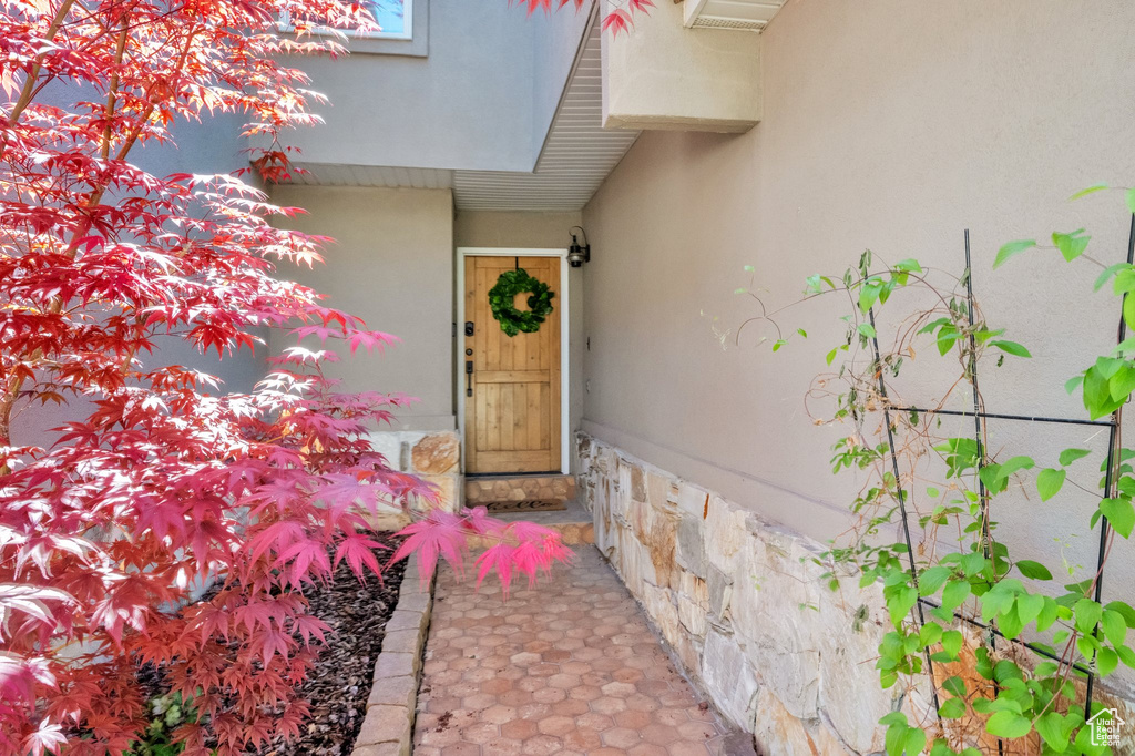 Entrance to property featuring stucco siding