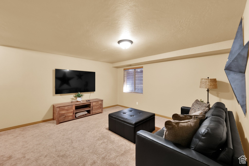 Carpeted living area with baseboards and a textured ceiling