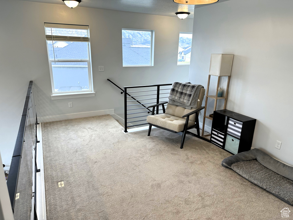 Sitting room featuring carpet flooring, plenty of natural light, baseboards, and an upstairs landing