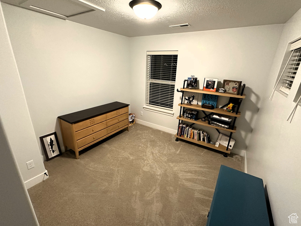 Misc room with a textured ceiling, carpet floors, baseboards, and attic access