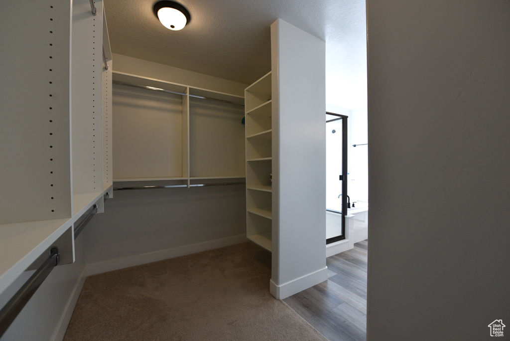 Spacious closet featuring carpet