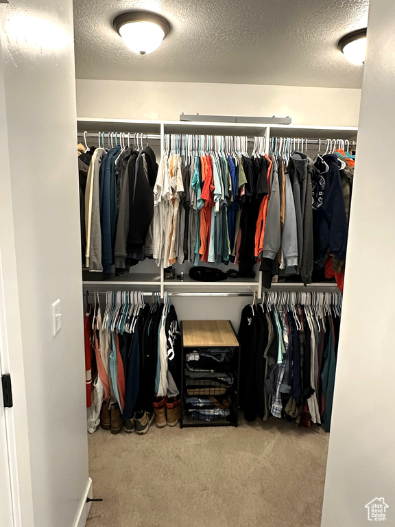 Walk in closet with carpet
