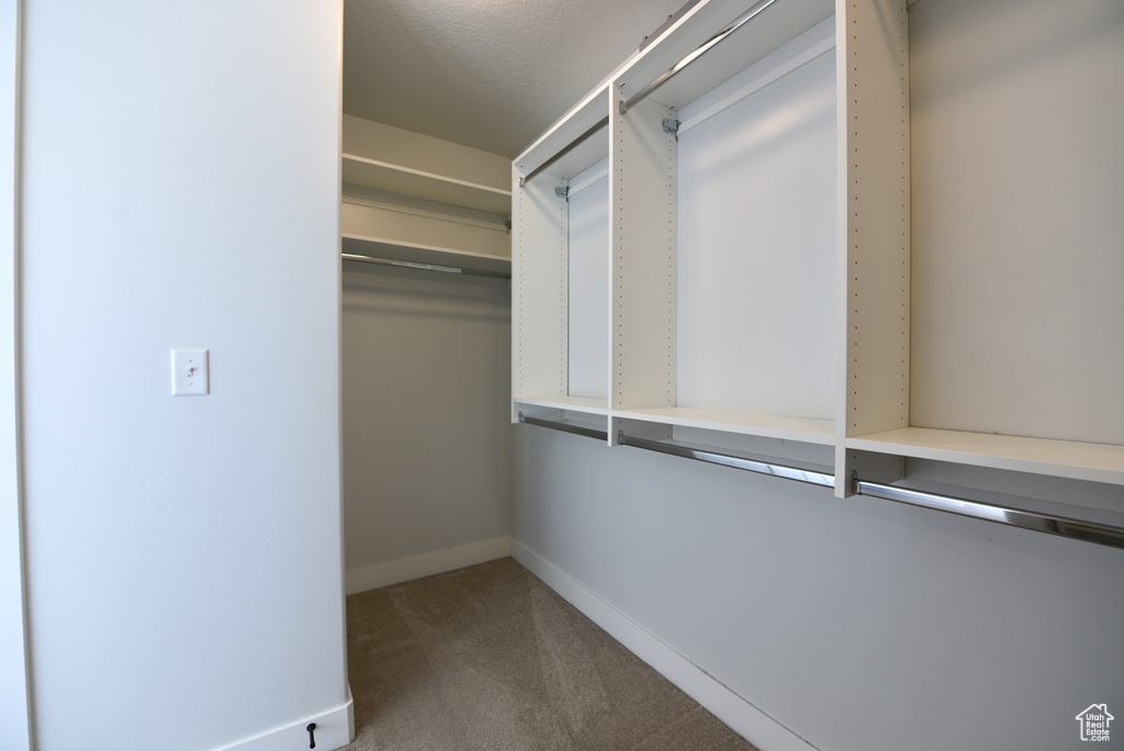 Walk in closet featuring carpet
