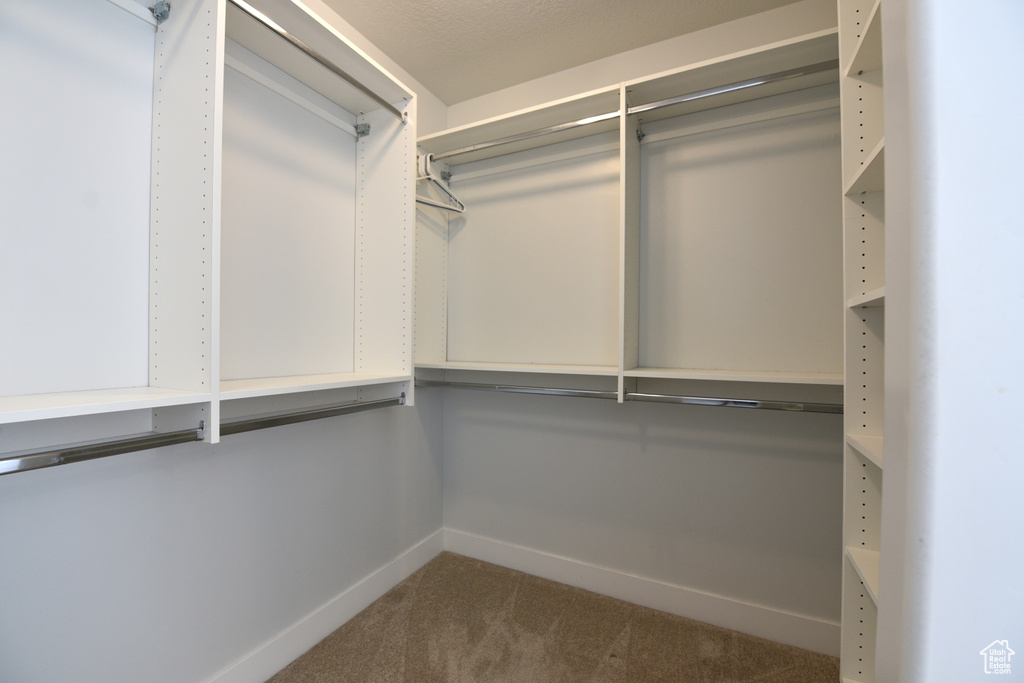Walk in closet with carpet flooring