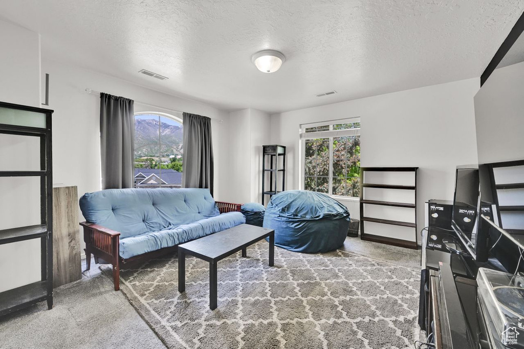 Carpeted living area featuring plenty of natural light and a textured ceiling