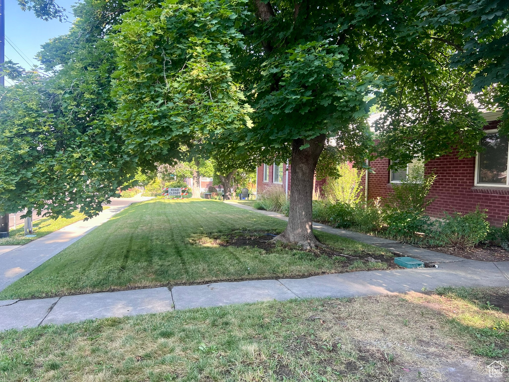 View of green lawn
