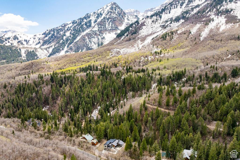 View of mountain backdrop with a forest