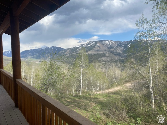 Mountain view featuring a forest