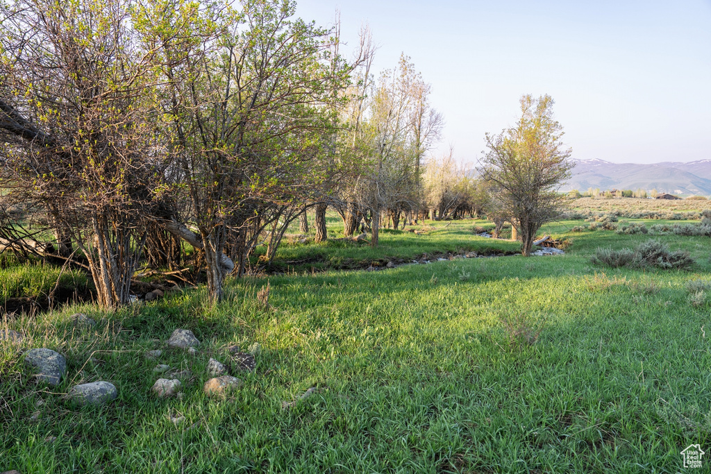 View of yard featuring a mountain view