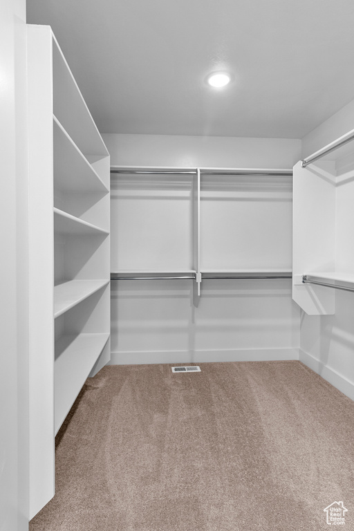 Spacious closet featuring carpet floors