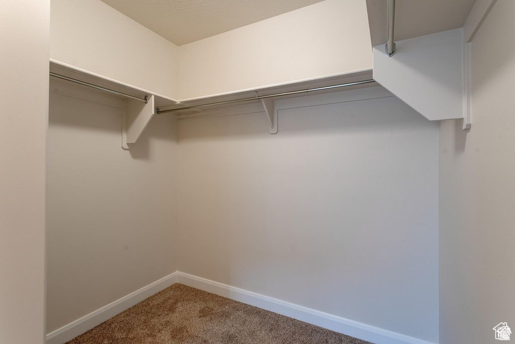 Walk in closet featuring carpet