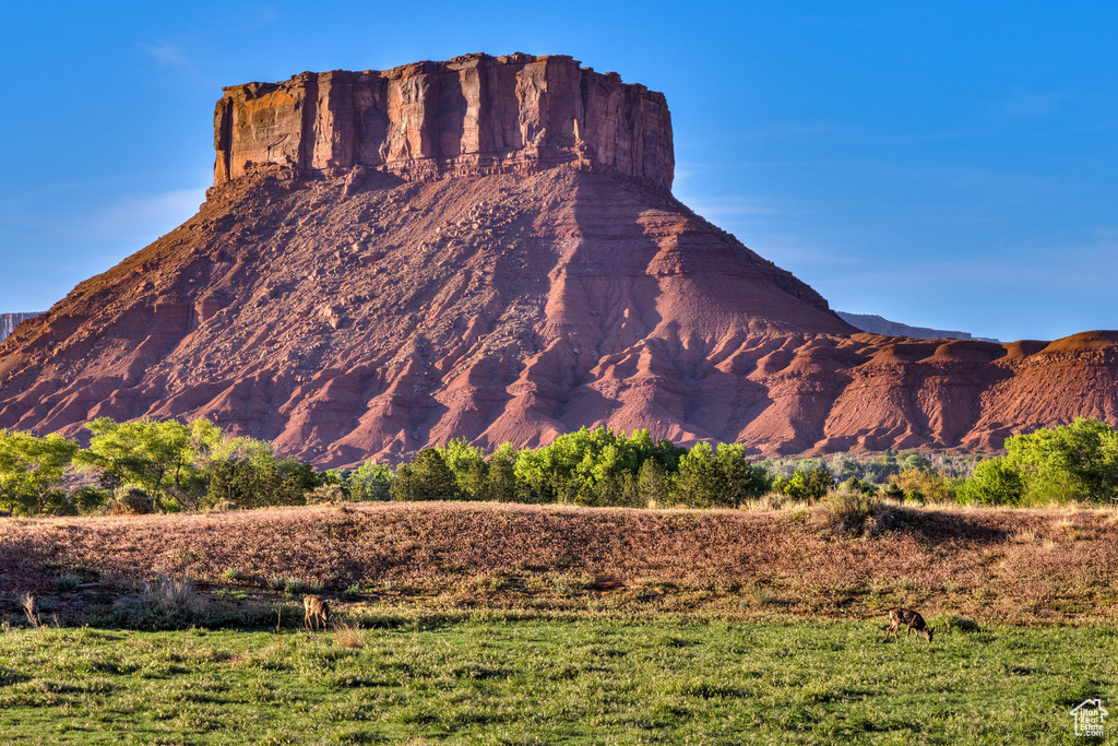 View of mountain background