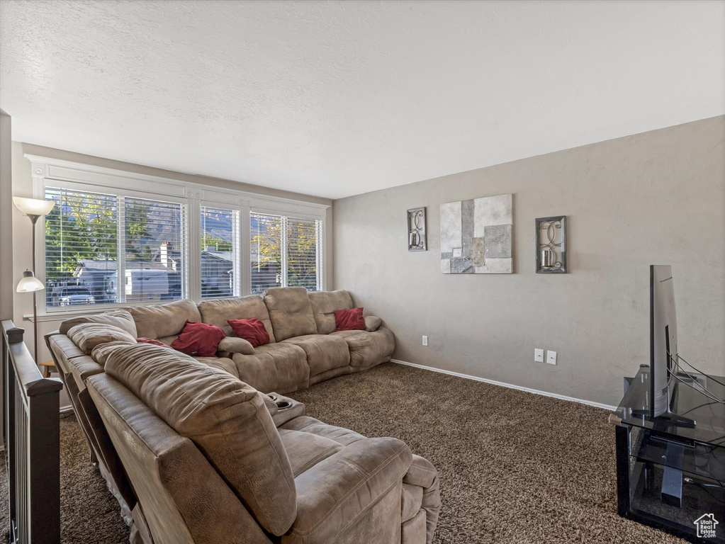 Living area featuring carpet flooring and baseboards