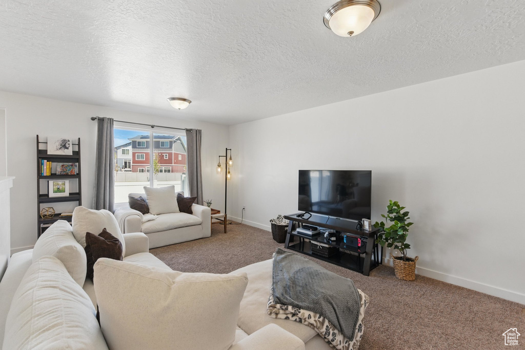 Living room featuring carpet flooring, a textured ceiling, and baseboards