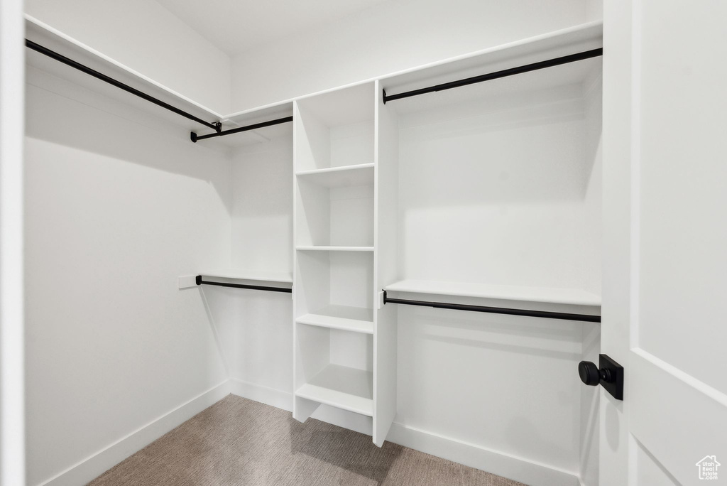 Walk in closet with carpet flooring