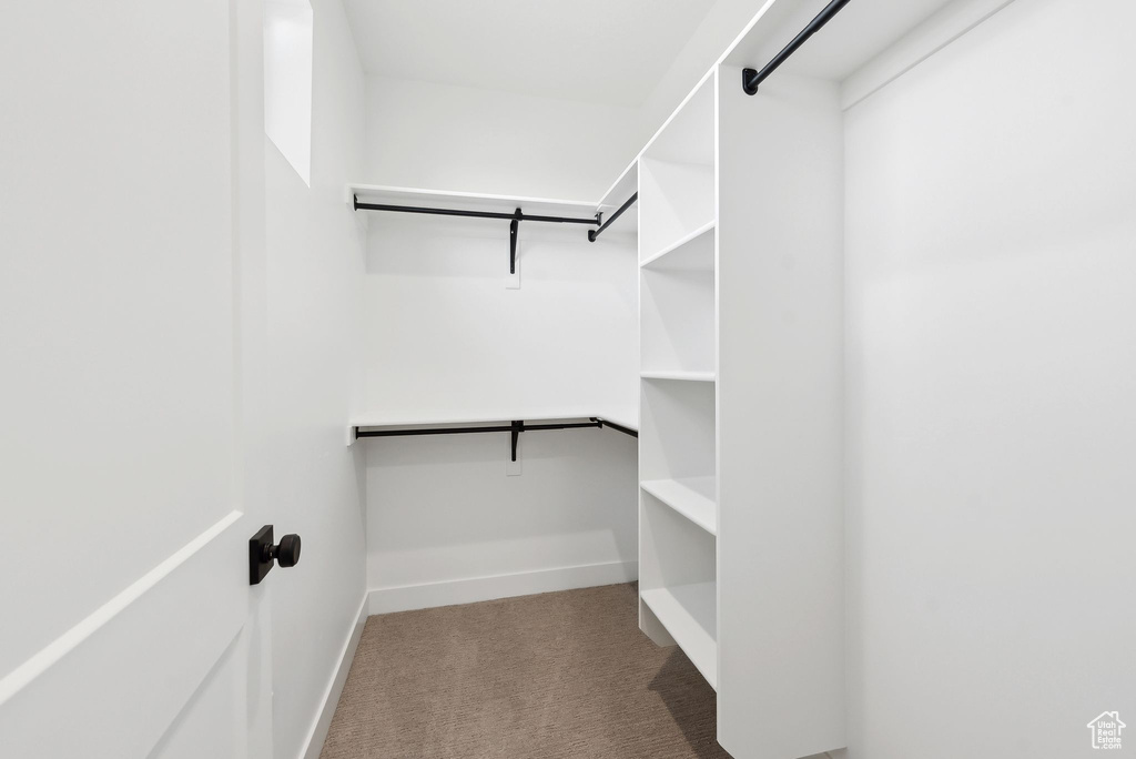 Walk in closet with carpet