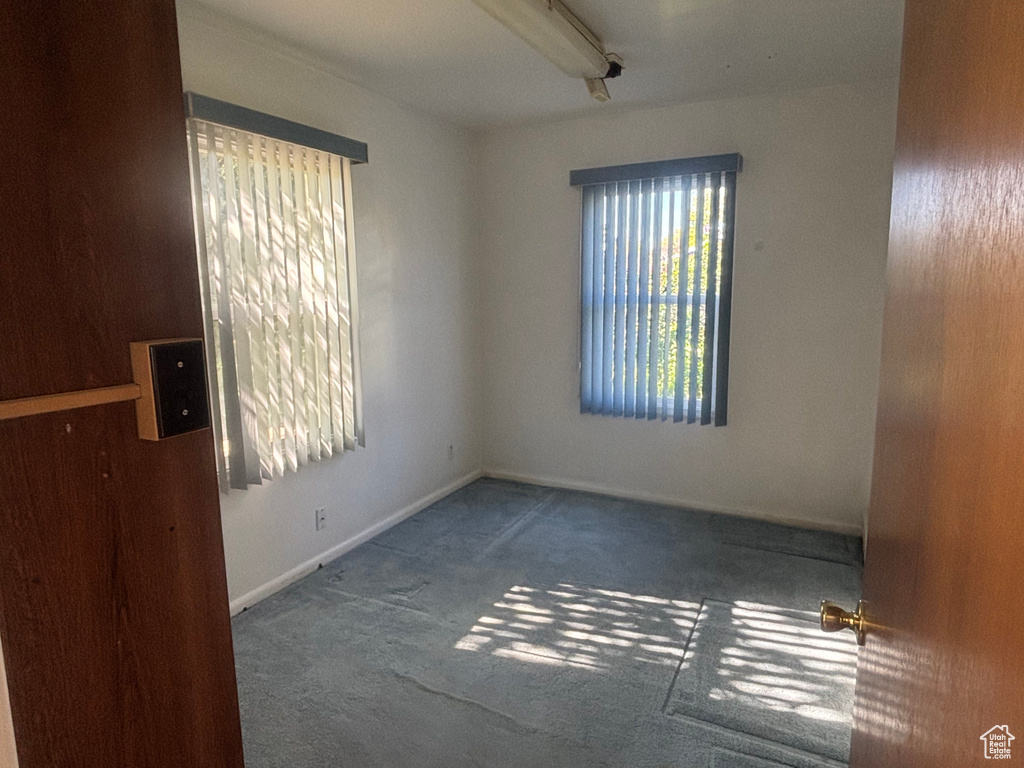 Empty room featuring carpet flooring, plenty of natural light, and baseboards