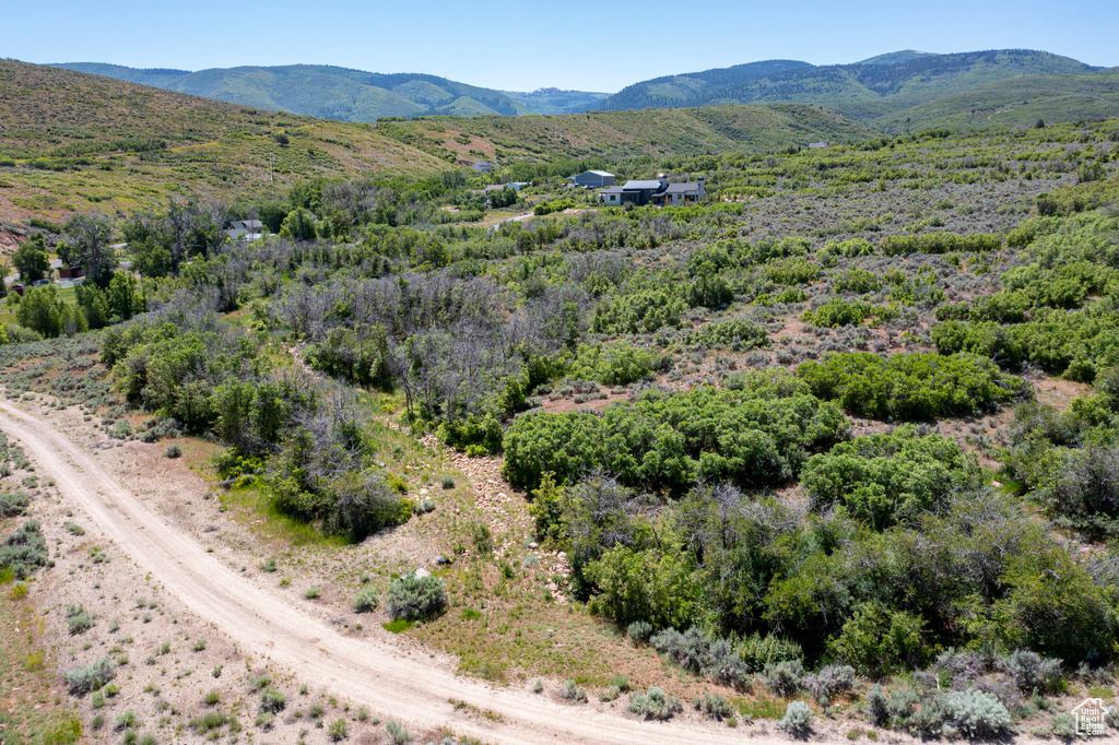 Bird\'s eye view of a mountainous background
