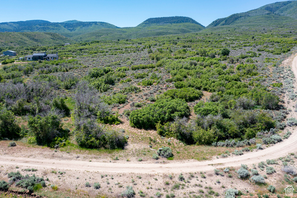 Bird\'s eye view of a mountain backdrop