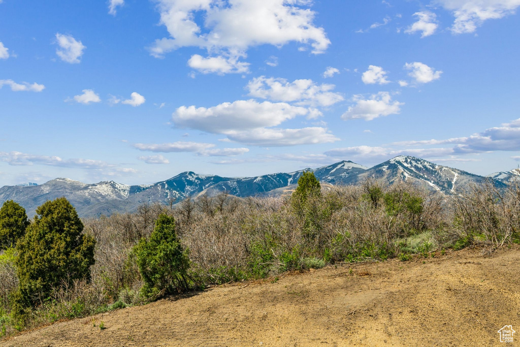 View of mountain backdrop