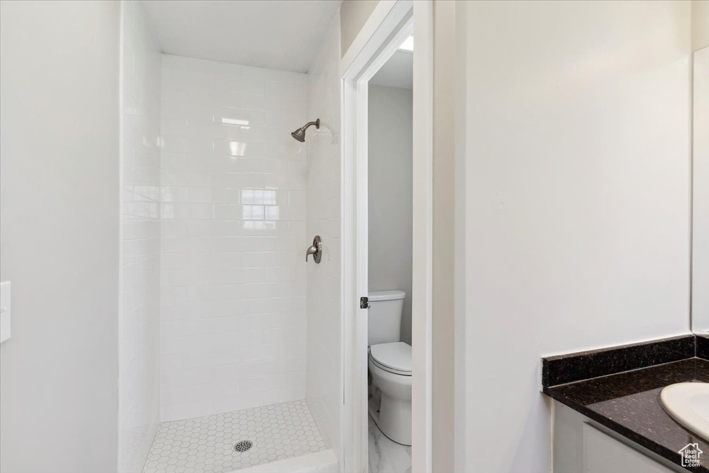 Full bathroom featuring a shower stall, toilet, and vanity