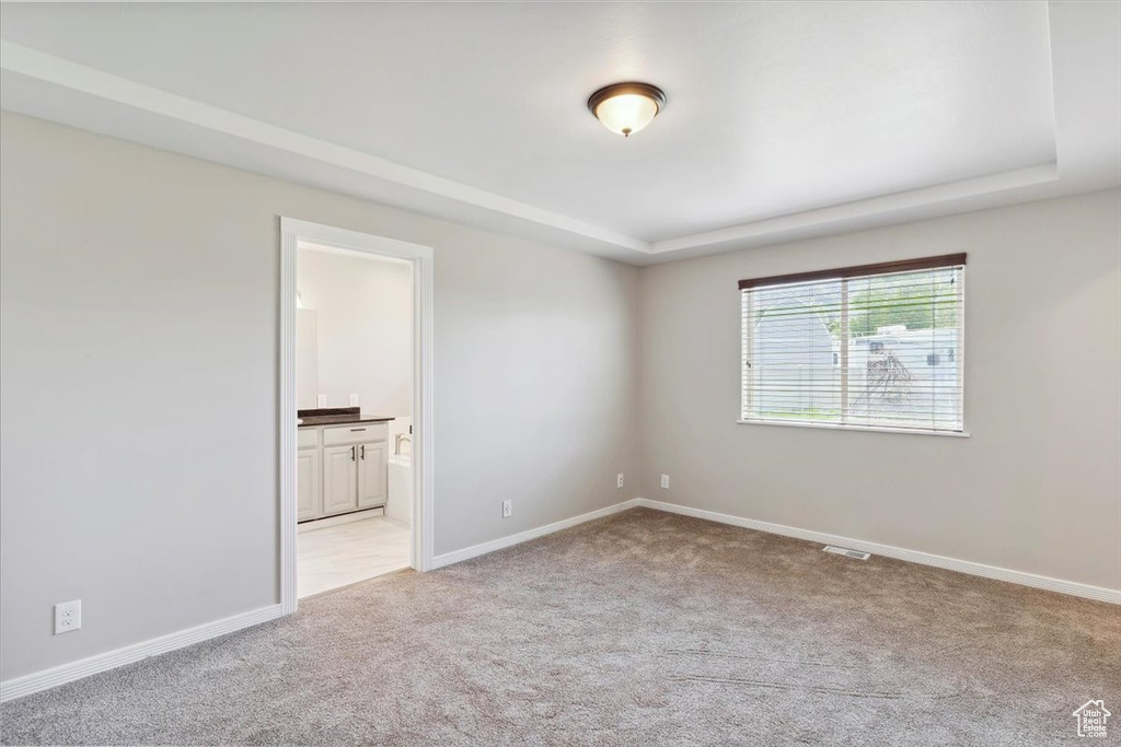 Unfurnished room featuring light carpet, a raised ceiling, and baseboards