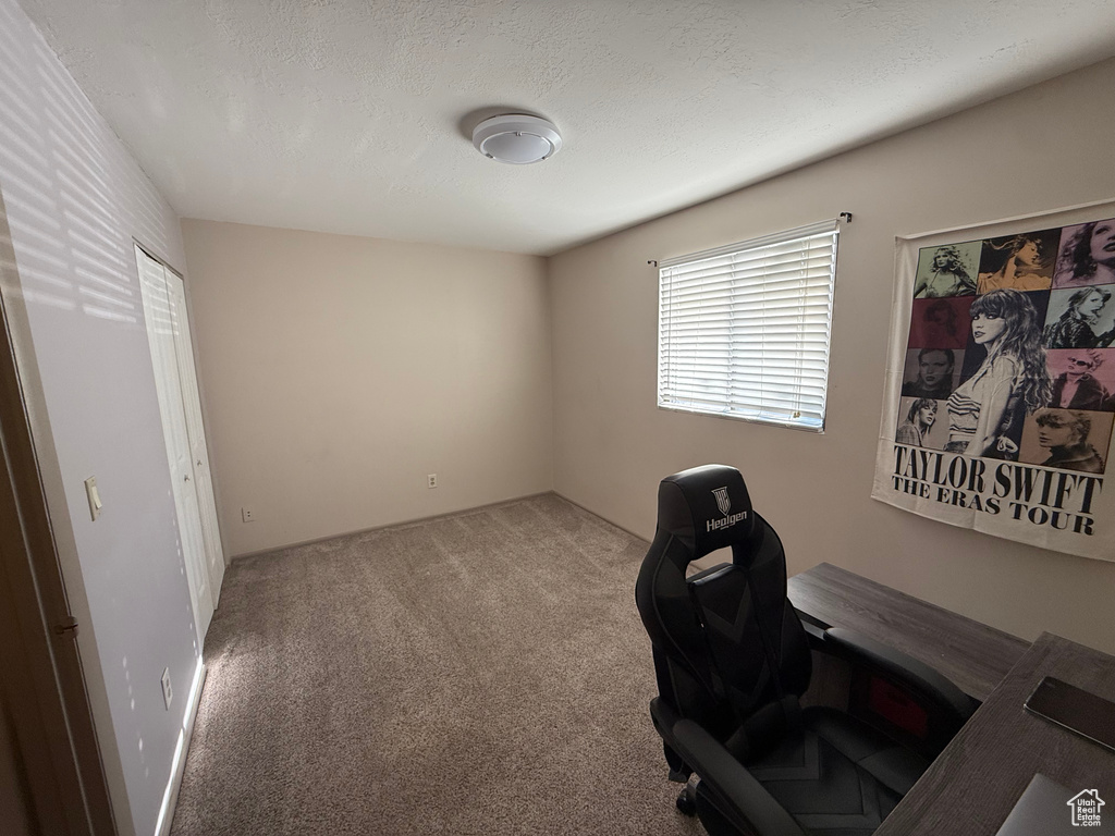 Carpeted office space with a textured ceiling