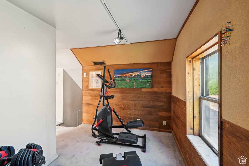 Workout area featuring wood walls and carpet flooring