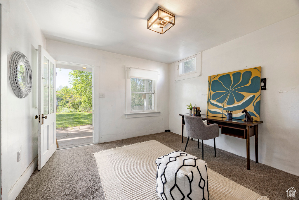 Entrance foyer featuring carpet flooring and healthy amount of natural light