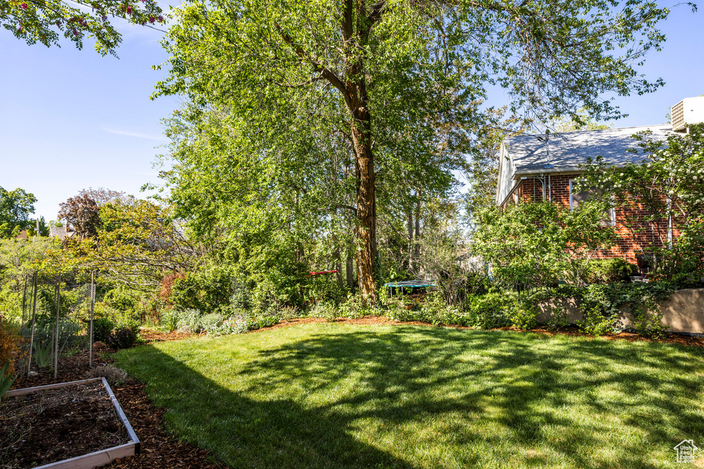View of grassy yard