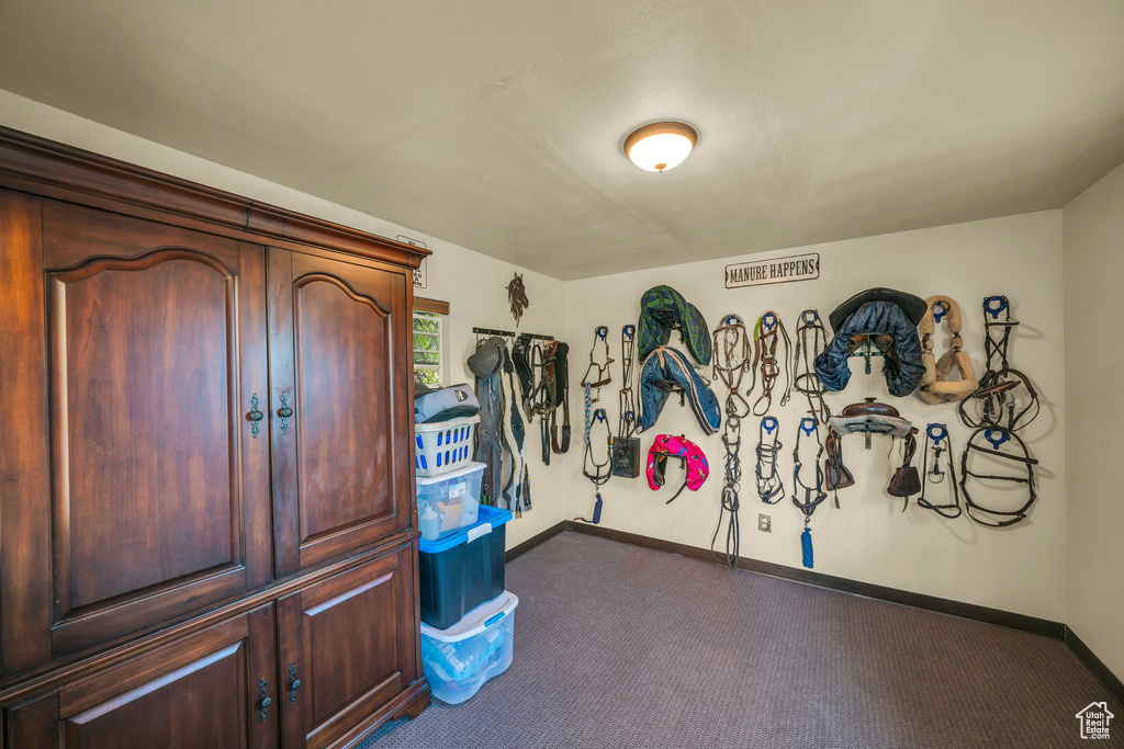 Miscellaneous room featuring carpet and baseboards
