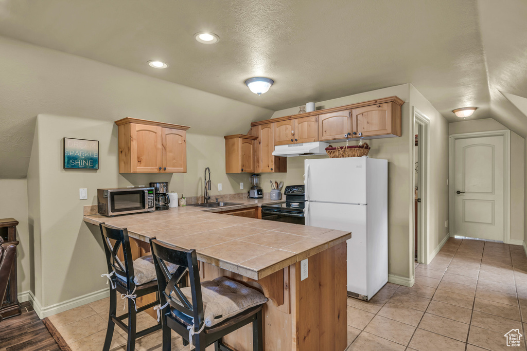 Kitchen featuring freestanding refrigerator, black / electric stove, a sink, stainless steel microwave, and under cabinet range hood