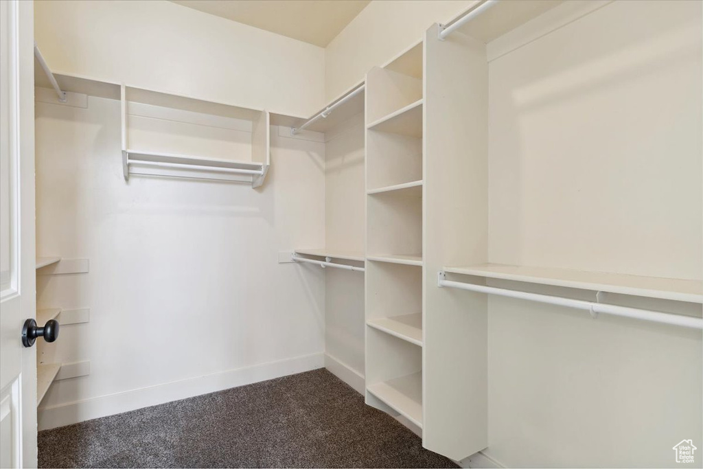 Spacious closet with dark colored carpet