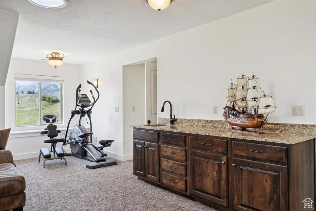 Workout room with a sink, carpet floors, and baseboards