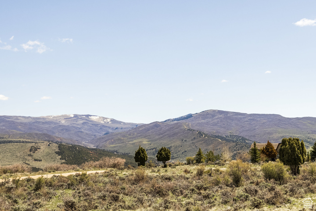 View of mountain background