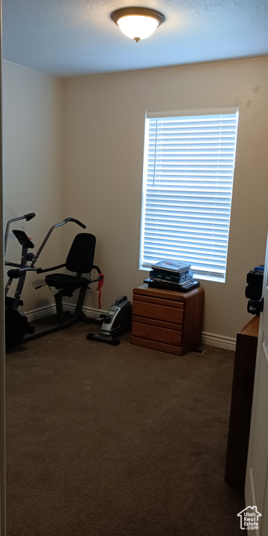 Misc room with plenty of natural light, dark colored carpet, and baseboards