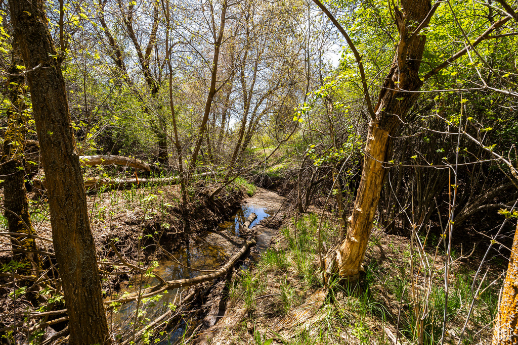 View of undeveloped land