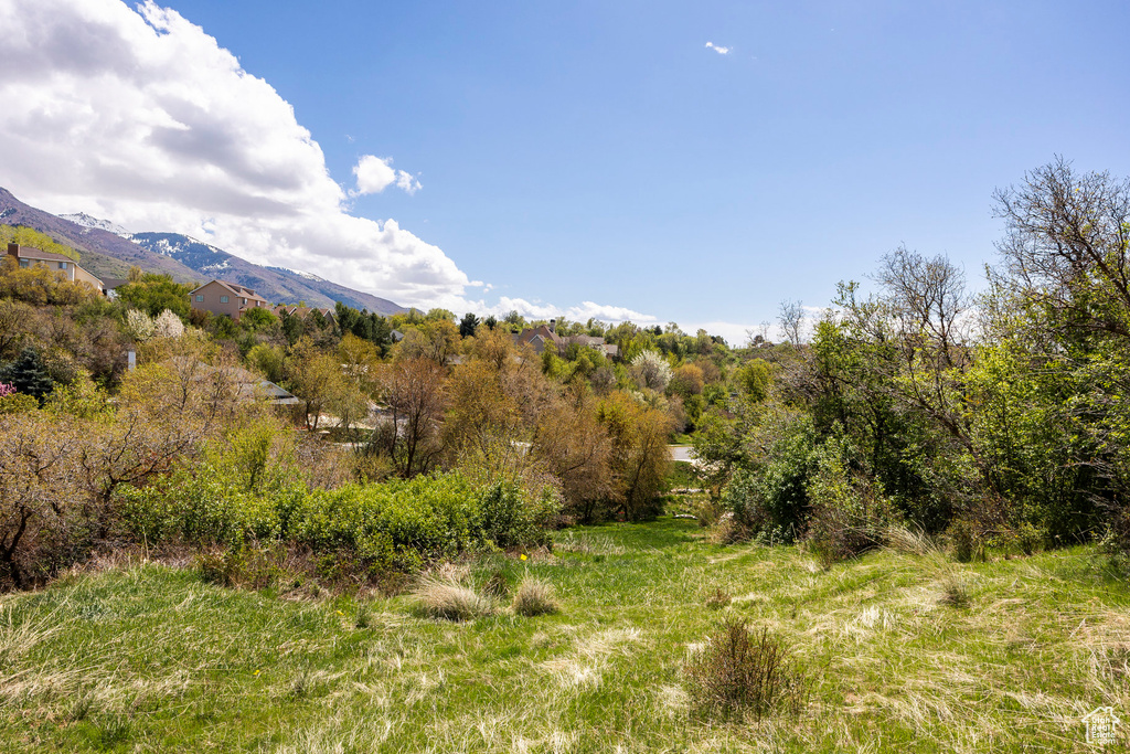 View of undeveloped land with a mountainous background