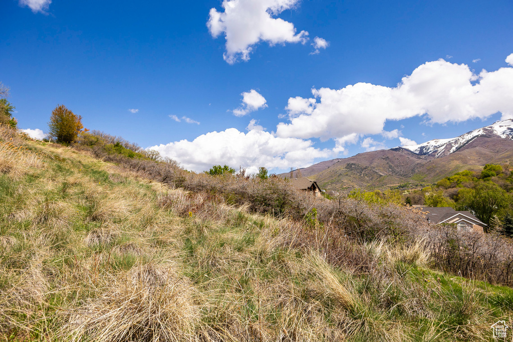 View of mountain backdrop