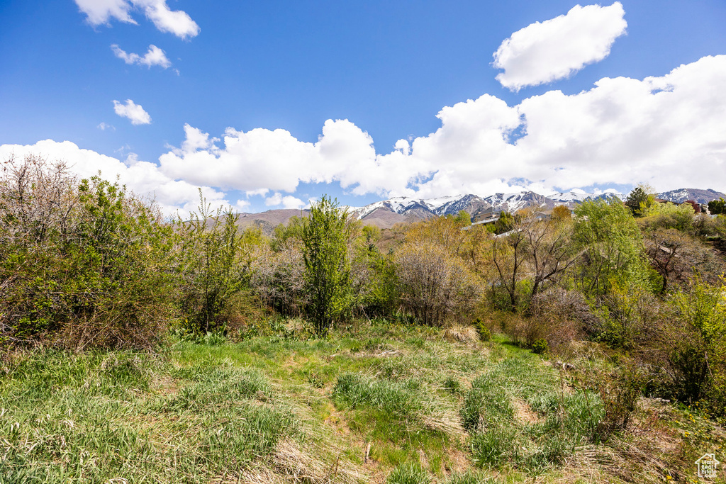 View of nature with a mountain backdrop