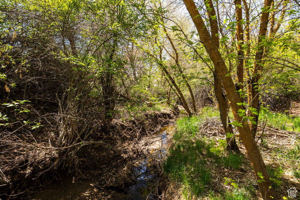 View of nature