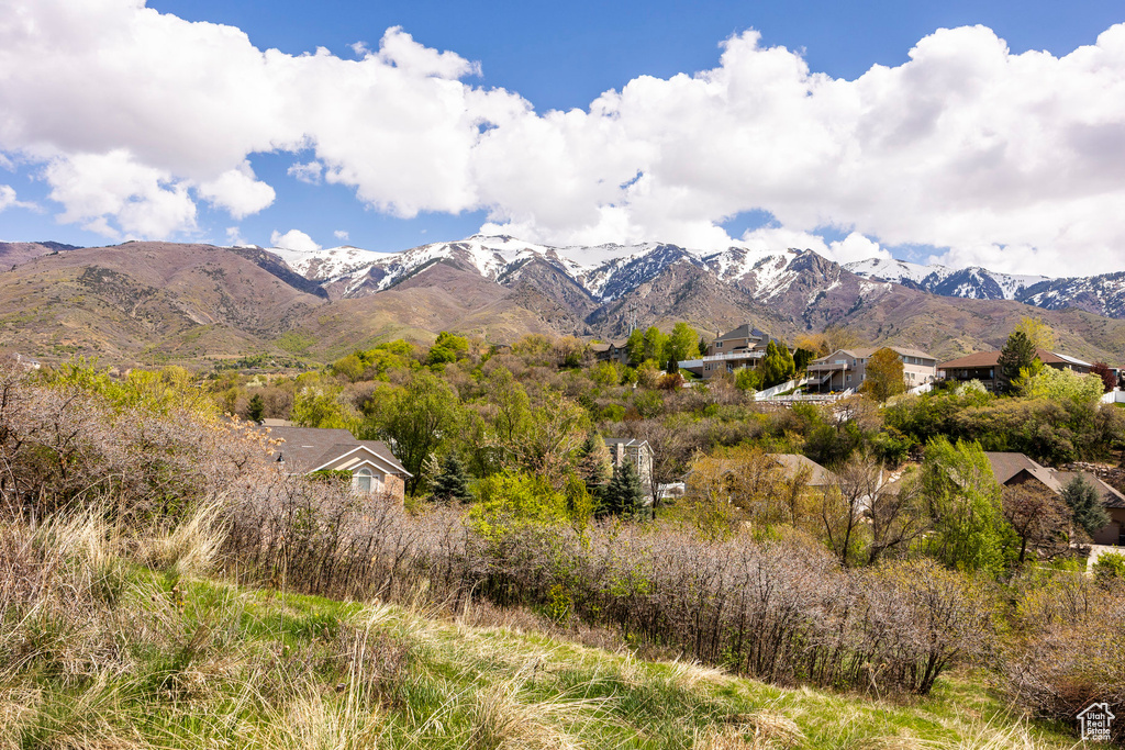 Mountain view