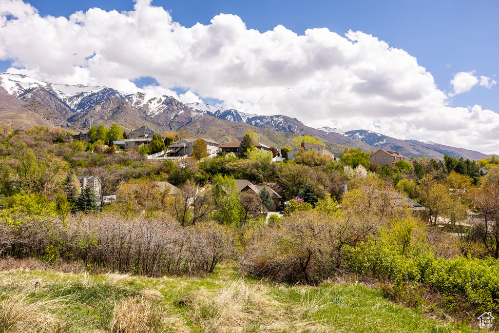 View of mountain backdrop