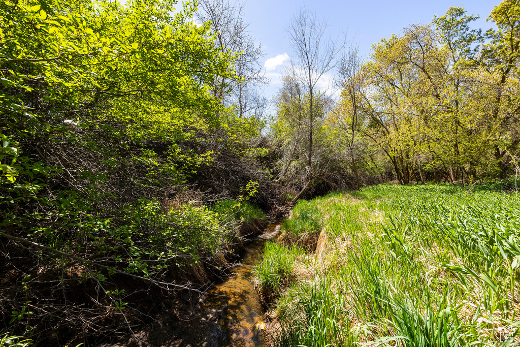 View of undeveloped land